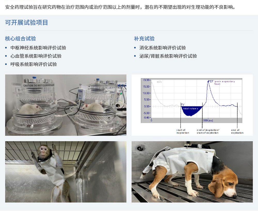 1698820061124490.jpg 7.jpg